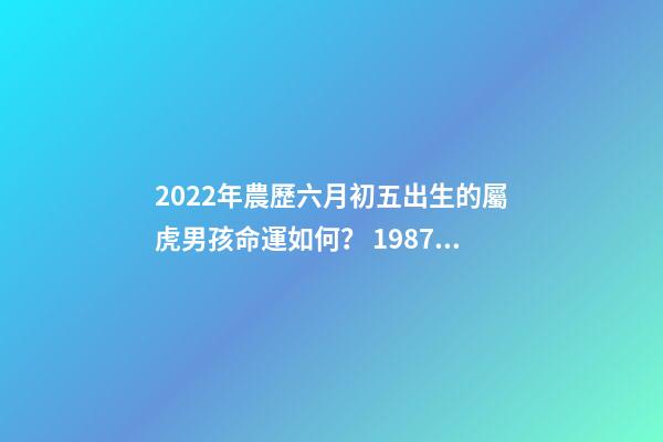 2022年農歷六月初五出生的屬虎男孩命運如何？ 1987年農歷六月初五五行是什么命性別男-第1張-觀點-玄機派